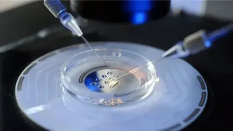 身体满足什么条件可以做广州试管婴儿？