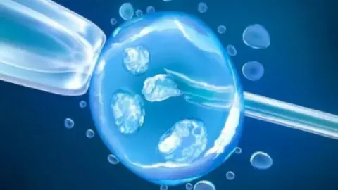 试管婴儿过程中关于胚胎着床的疑难问题