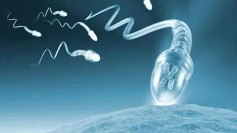 第一代、第二代、第三代试管婴儿流程
