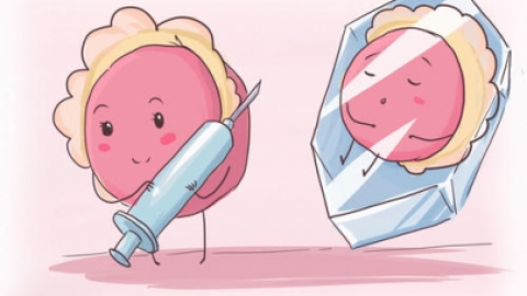 女性得了子宫肌瘤还能做试管婴儿吗？