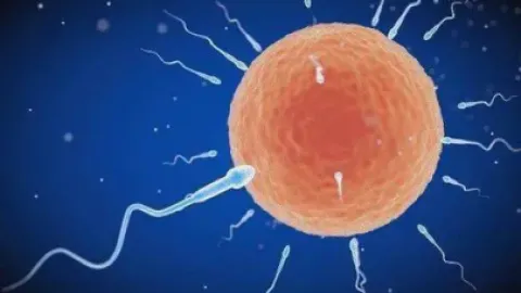 月经提前