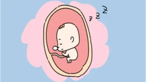 黄体囊肿破裂什么意思