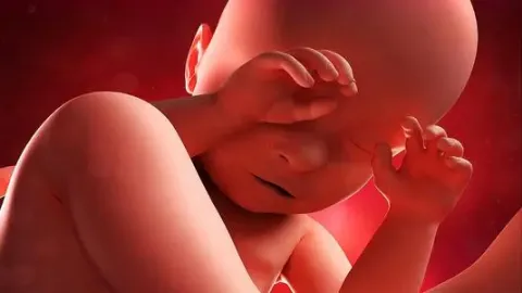 有黄体囊肿可以同房吗