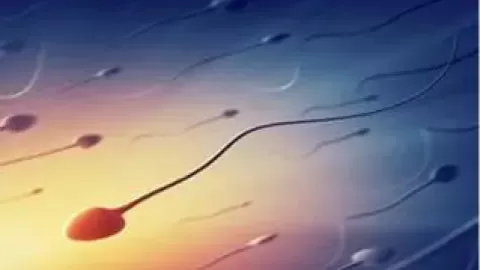 包皮过长