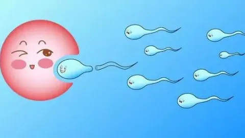 试管婴儿过程是如何做的呢?附试管婴儿收费明细