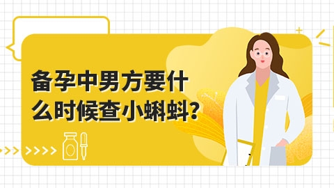 备孕中男方要什么时候查小蝌蚪？