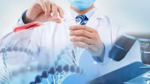 影响试管婴儿成功率的主要因素有哪些？