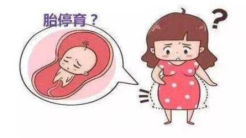生化妊娠、胚胎停育、自然流产，到底该怎么治？
