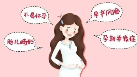 高龄女性试管婴儿成功率低？3招提高成功率！
