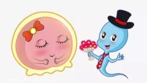 大龄夫妻能选择试管婴儿吗