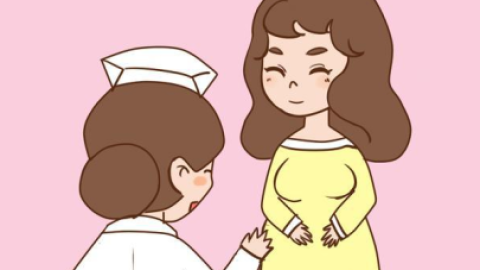 备孕期间女性应该做什么