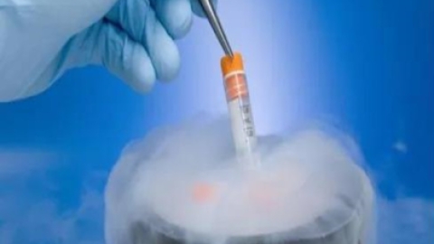 做试管婴儿前应该如何保养卵巢?