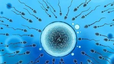 养“精”蓄锐，做试管婴儿前男性必备技能