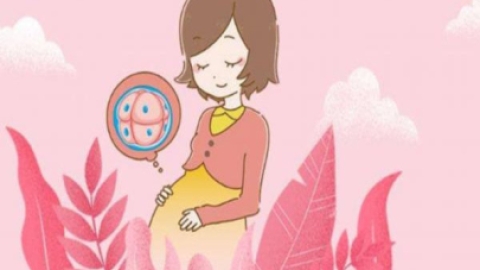 做试管婴儿一定要辞职？怎样才能怀孕工作两不误？