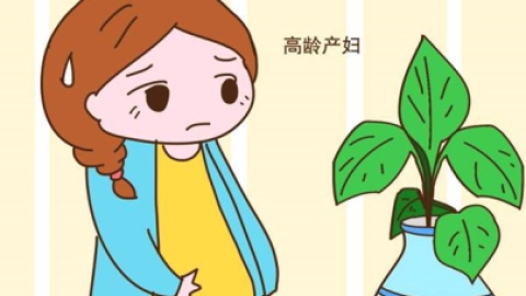 高龄产妇想当一个妈妈，有多难？